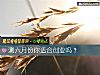 《测六月份你适合创业吗?》测试