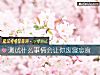 《测试什么事情会让你废寝忘食》测试