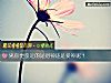 《离你更亲近的是<i>财神</i>还是爱神呢?》测试