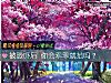 《被恐吓后 你会乖乖就范吗?》测试