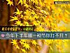 《今年下半年哪一种节你打不开?》测试
