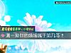 《测一测你的婚姻属于第几等?》测试