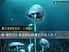 《测你会在联谊的时候邂逅对的人吗?》测试