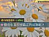 《你会在多少岁真正的成熟呢?》测试