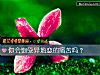 《你会饱受<i>异地恋</i>的痛苦吗?》测试