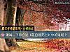 《测试一下你会是《非自然死亡》中的谁呢?》测试