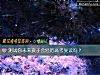 《测试你未来孩子会经历高考复读吗?》测试