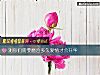 《测你们需要磨合多久爱情才会升华》测试