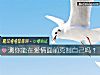 《测你能在爱情面前克制自己吗?》测试
