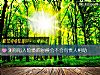 《测你陷入险境的时候会不会有<i>贵人</i>相助》测试