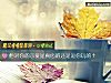 《他对你的示爱是<i>真心</i>的还是逗你玩的？》测试