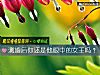 《测<i>婚后</i>你还是他眼中的女王吗?》测试