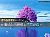 《测试你的爱情来日可期吗?》测试