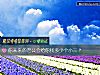 《你未来的老公会给你找多少个<i>小三</i>?》测试