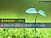 《你想不想知道在这个夏季你会不会<i>如意</i>!》测试