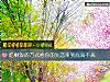 《吃剩饭的方式看你的<i>失恋</i>率到底高不高》测试