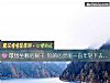 《最想坐哪把秋千 你的心灵能一直年轻下去吗?》测试