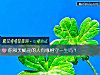 《你和天蝎座的人有缘相守<i>一生</i>吗?》测试
