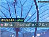 《测你能过上自己向往的生活吗?》测试