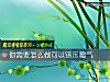 《你需要怎么做可以镇压霉气》测试