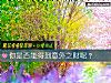 《你是否能得到<i>意外</i>之财呢?》测试