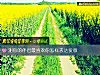 《测你的<i>伴侣</i>最喜欢你怎样表达爱意》测试