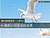 《减肥对你来说有多难》测试