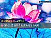 《测试<i>失恋</i>后你会更成熟还是更幼稚》测试