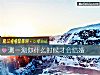 《测一测你什么时候才会结婚》测试