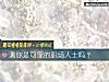 《测你是可靠的<i>职场</i>人士吗?》测试