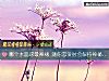 《哪个水晶球最神秘 测你恋爱时会保持神秘吗?》测试