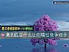 《测到底是什么让你输给竞争对手》测试