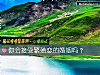 《你会接受繁殖恋的<i>婚姻</i>吗?》测试