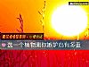 《选一个植物测你<i>嫉妒</i>心有多重》测试