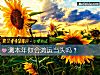 《测<i>本年</i>你会鸿运当头吗?》测试