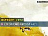 《测试你踢走霉运的秘方是什么呢?》测试