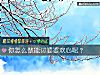《你怎么做能讨<i>婆婆</i>欢心呢？》测试