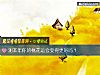 《测本年你的<i>桃花</i>运会变得更好吗?》测试