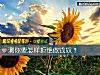 《测你要怎样拒绝做钱奴?》测试