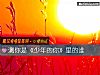 《测你是《<i>少年</i>的你》里的谁》测试