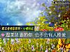 《温柔贤惠的你 会不会有人疼爱》测试