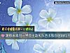 《测你未来另一半会主动买东西孝敬你爸妈吗?》测试