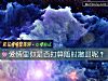 《爱情里你是否打算随时撤退呢?》测试