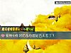 《爱情中你的防备心理是否太差了?》测试