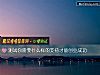 《测试你需要什么样的支持才能创业<i>成功</i>》测试