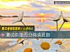 《测试你能否分得清套路》测试