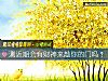 《测近期会有<i>财神</i>来敲你的门吗?》测试