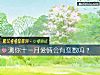 《测你十一月爱情会有变数吗?》测试