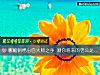 《哪幅刺绣出自大师之手 测你将来的<i>老公</i>是何种人》测试
