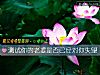 《测试你的老婆是否已经对你失望》测试